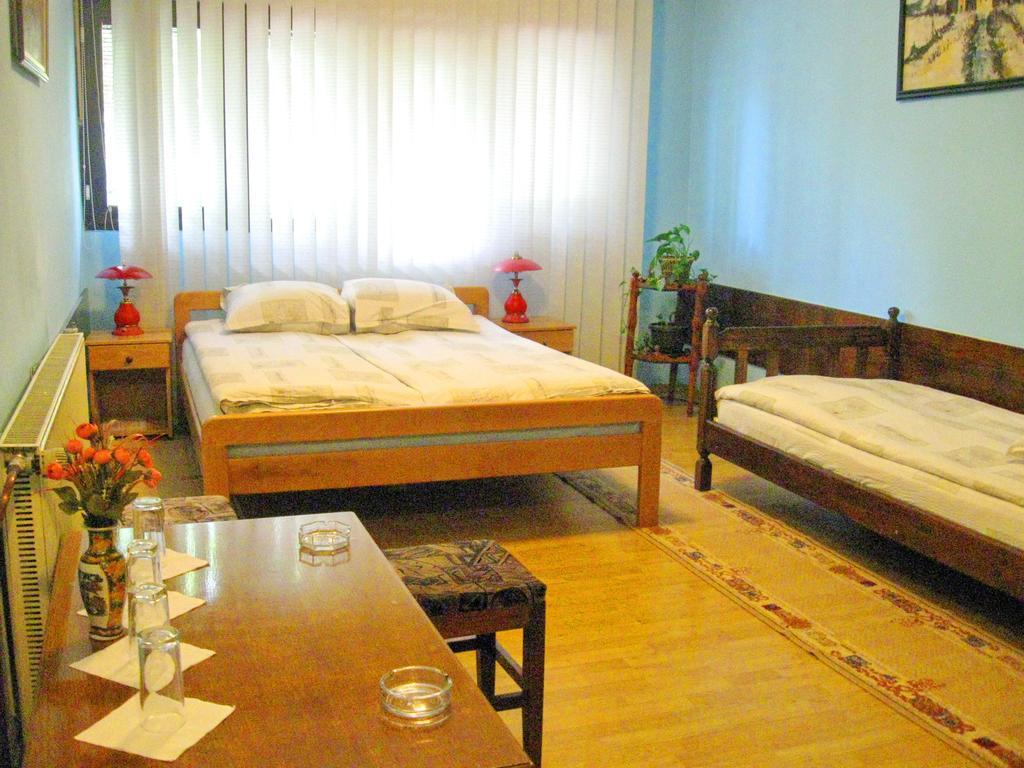 Amfora Rooms Caribrod Dimitrovgrad Room photo