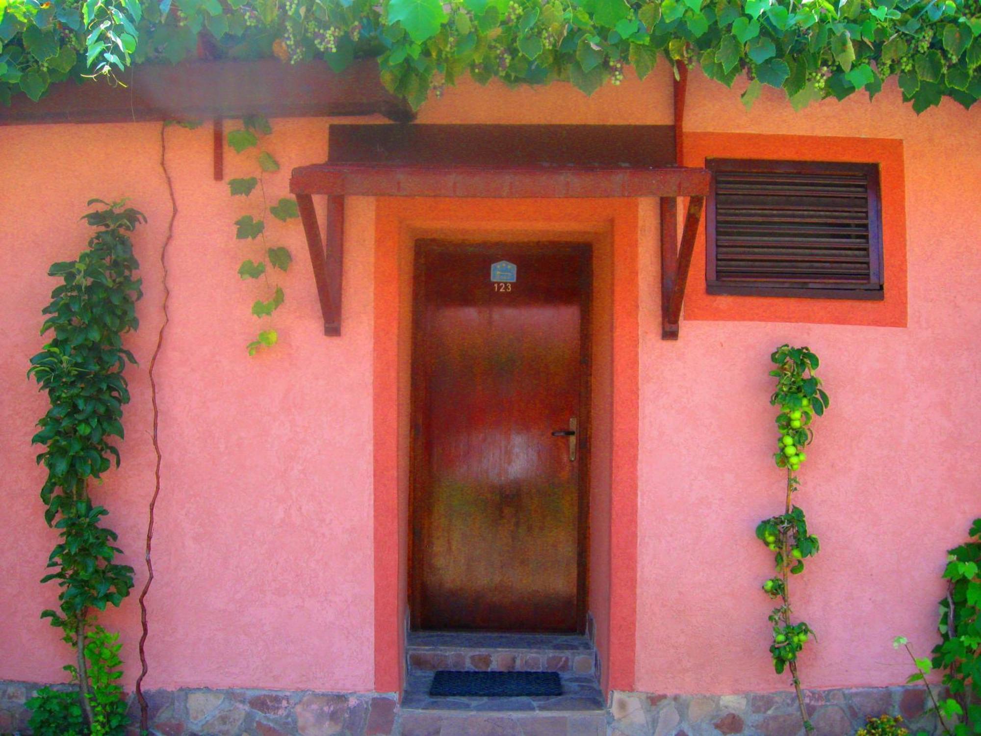 Amfora Rooms Caribrod Dimitrovgrad Room photo